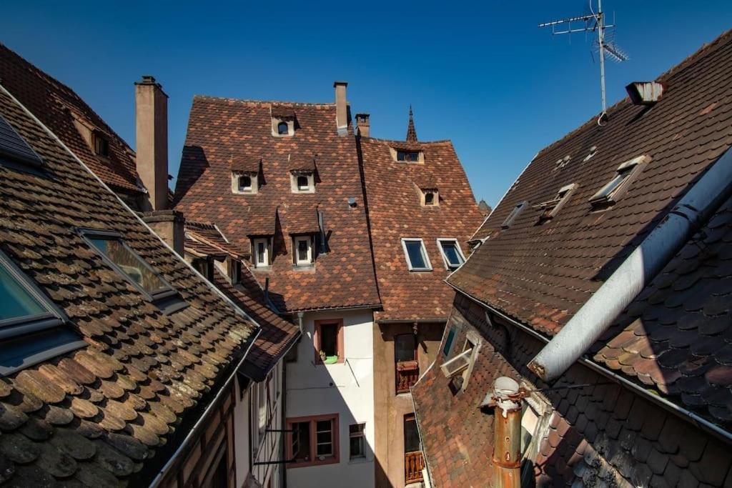 L'Or - Typical Alsacian Apartment In Strasbourg Kültér fotó