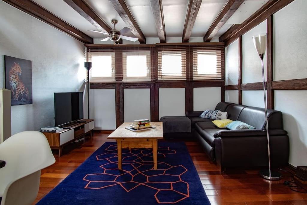 L'Or - Typical Alsacian Apartment In Strasbourg Kültér fotó